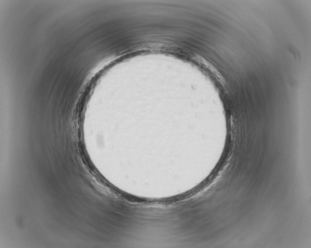 X0000114491114200911301100