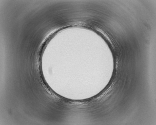 X0000114491115200911301100