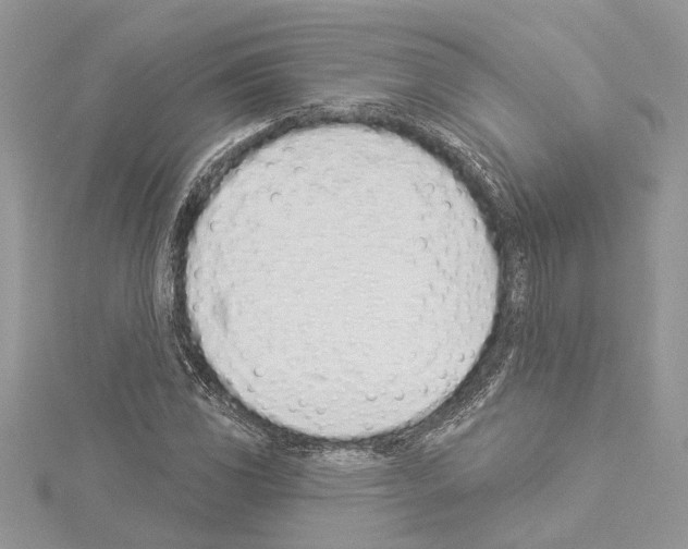 X0000114491117200911301100