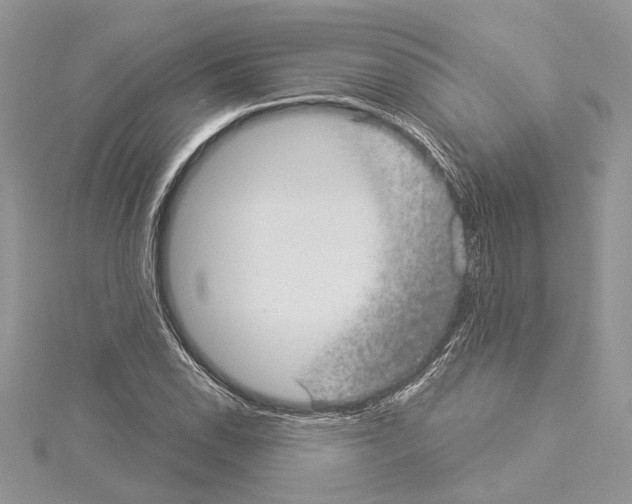 X0000114491118200911301100