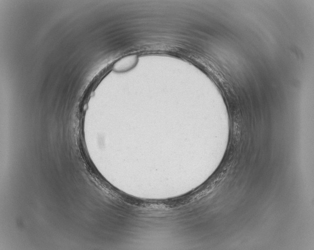 X0000114491119200911301100