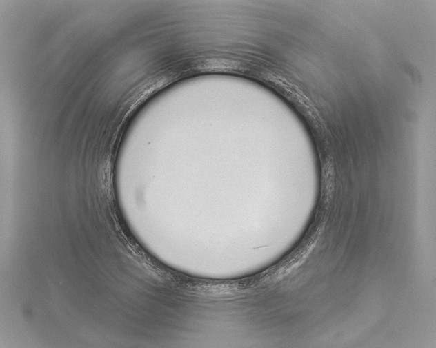 X0000114491121200911301100