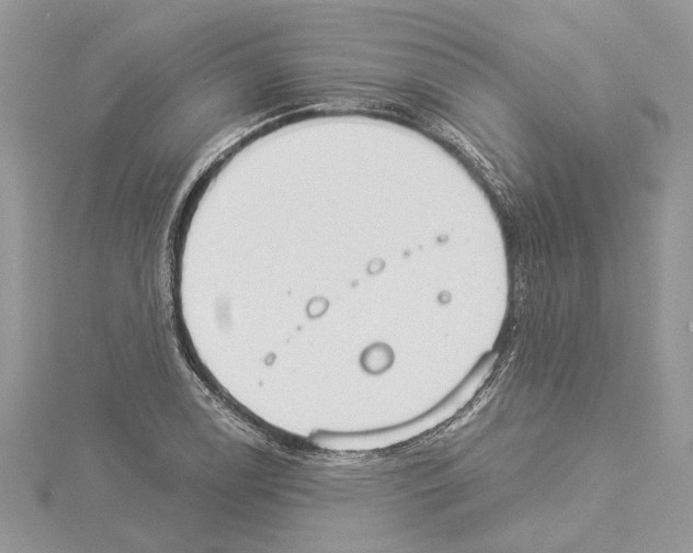 X0000114491122200911301100