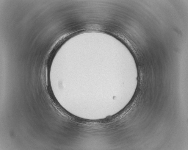 X0000114491123200911301100