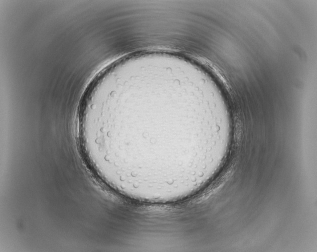 X0000114491125200911301100