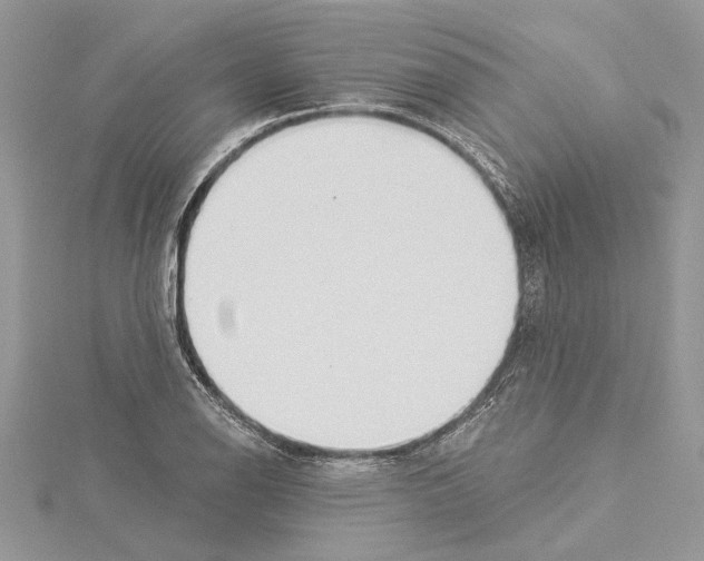 X0000114491126200911301100