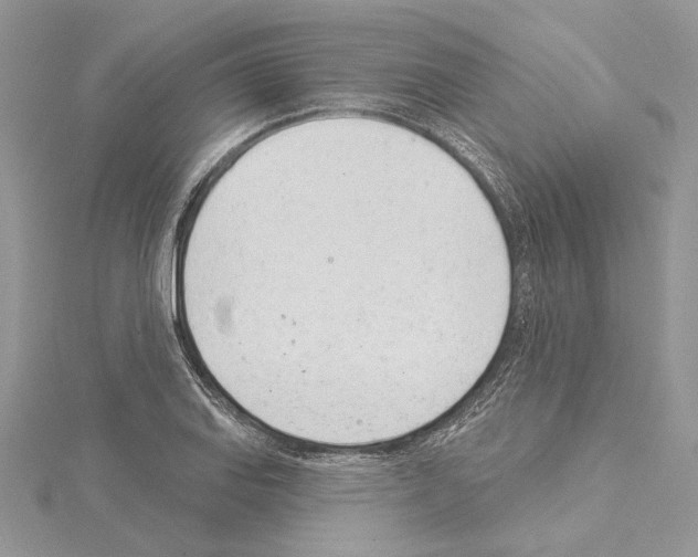 X0000114491127200911301100