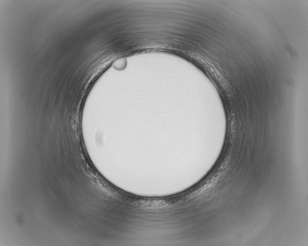 X0000114491129200911301100