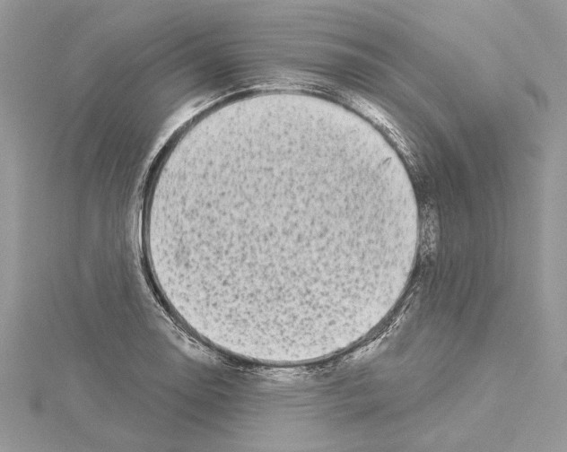 X0000114491130200911301100