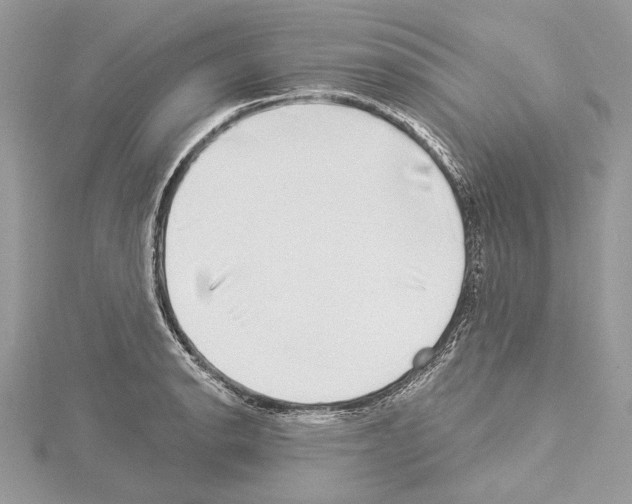 X0000114491134200911301100