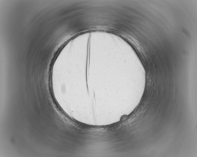 X0000114491135200911301100