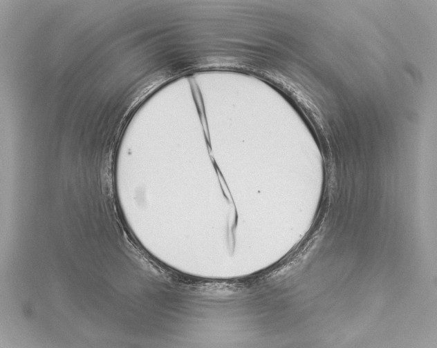 X0000114491137200911301100