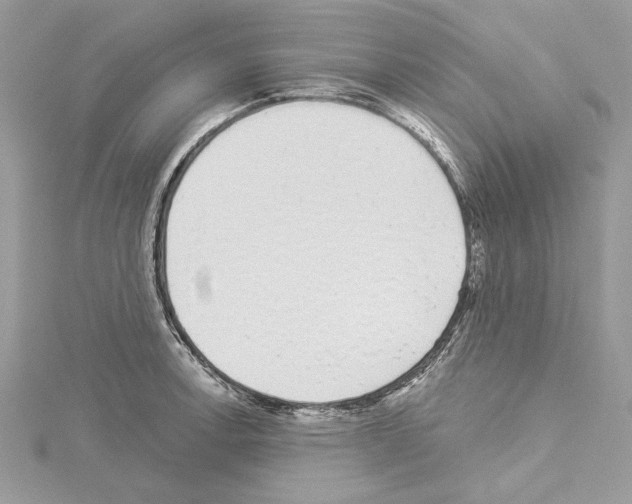 X0000114491138200911301100