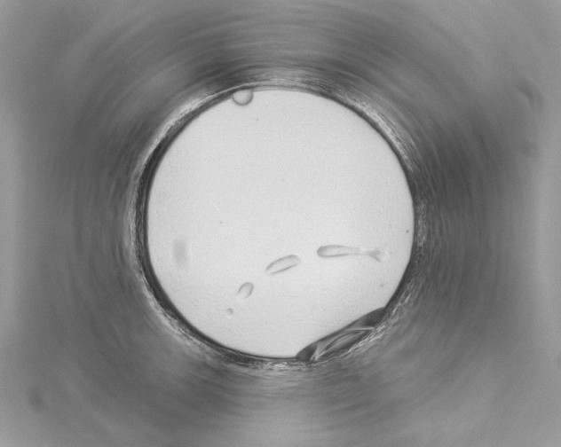 X0000114491139200911301100