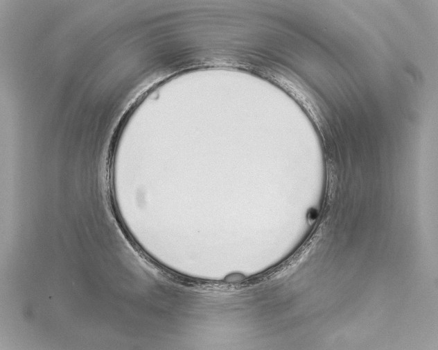 X0000114491141200911301100