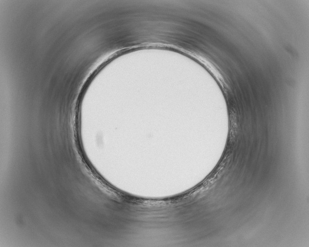 X0000114491142200911301100