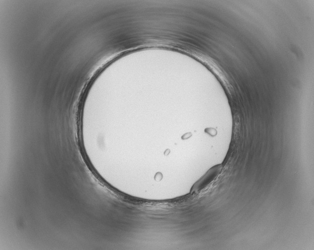 X0000114491143200911301100