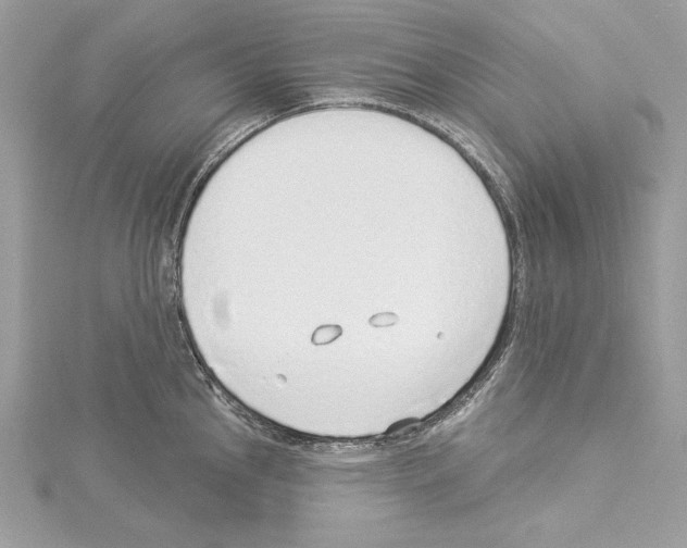 X0000114491145200911301100