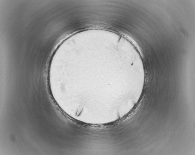 X0000114491146200911301100