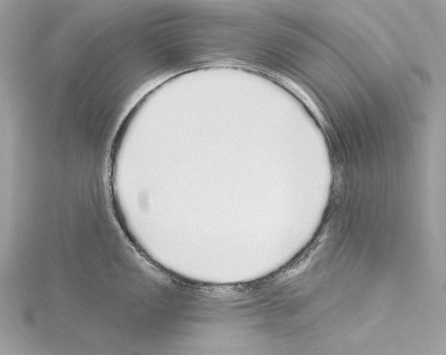 X0000114491149200911301101