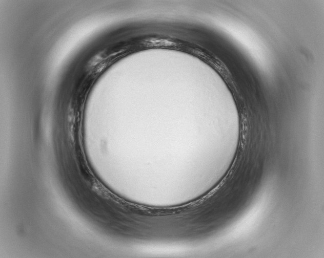 X0000114491151200911301101