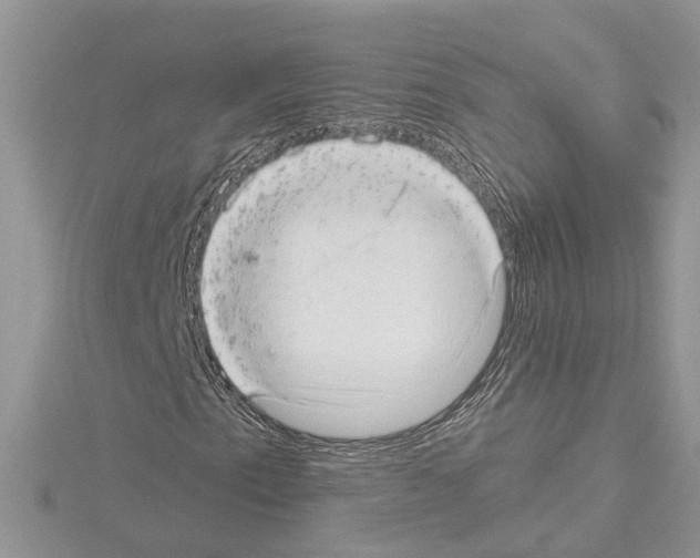 X0000114491153200911301100