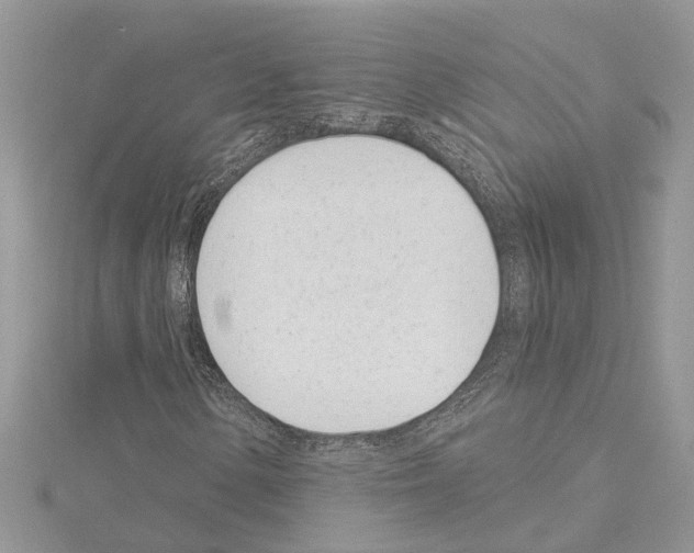 X0000114491154200911301100