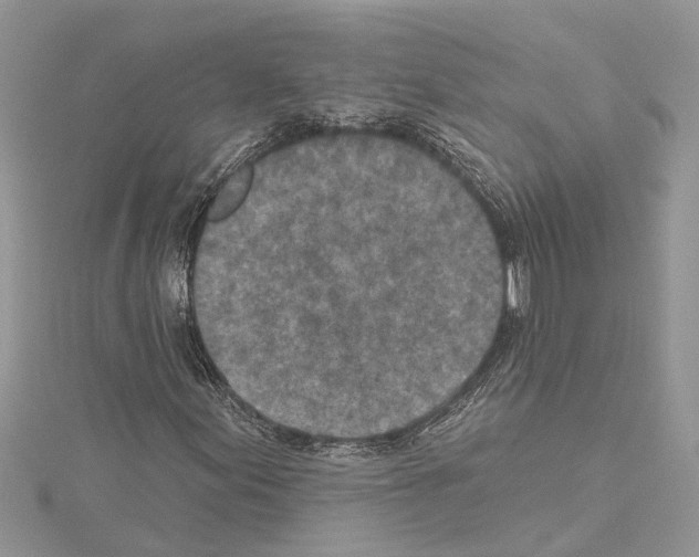 X0000114491155200911301100