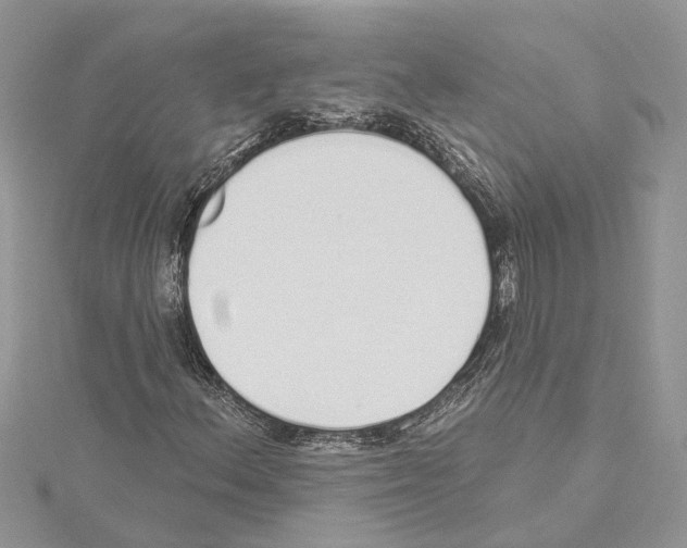 X0000114491156200911301100