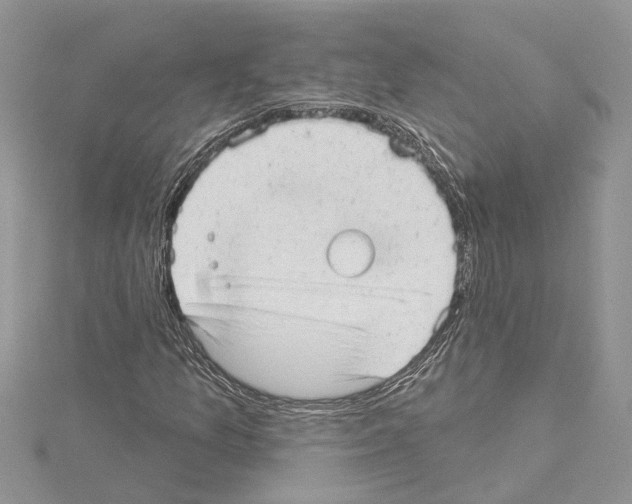 X0000114491157200911301100