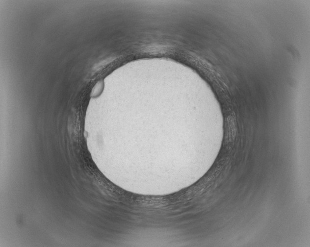 X0000114491158200911301100