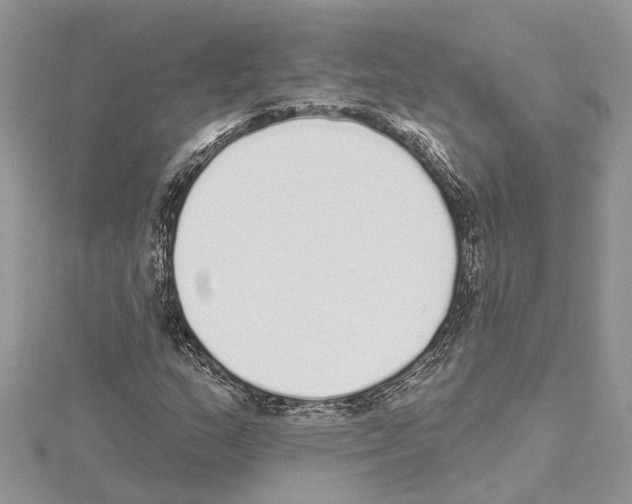 X0000114491159200911301100