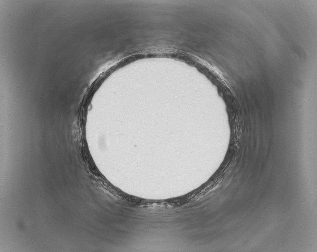 X0000114491160200911301100