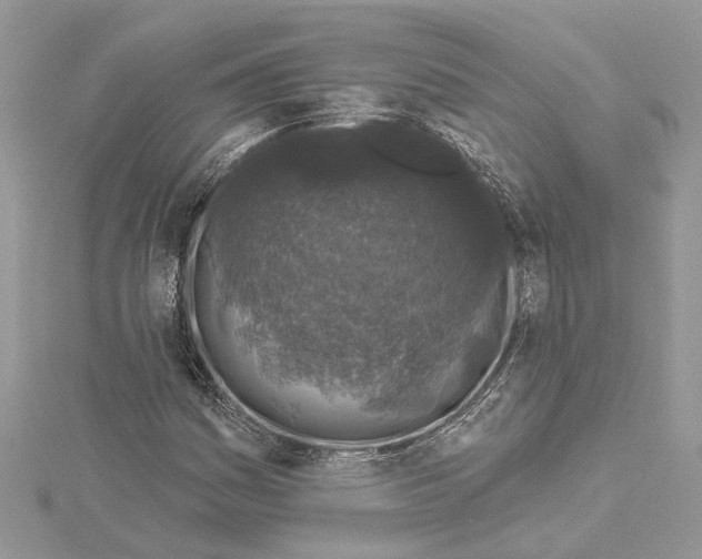 X0000114491161200911301100