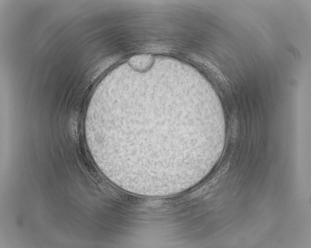 X0000114491162200911301100