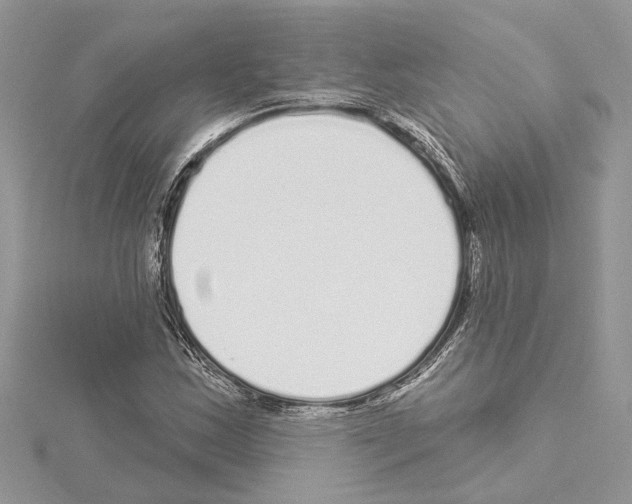 X0000114491163200911301100