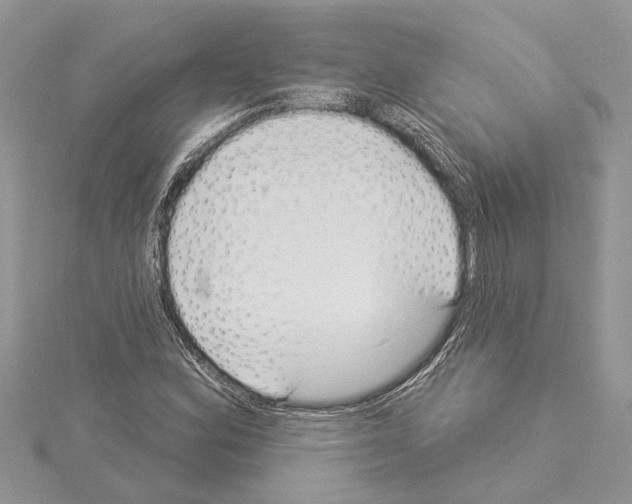 X0000114491164200911301100