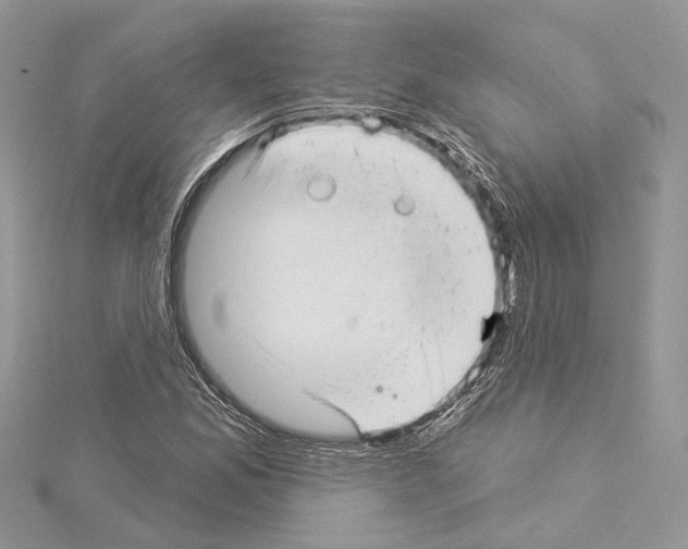 X0000114491165200911301100