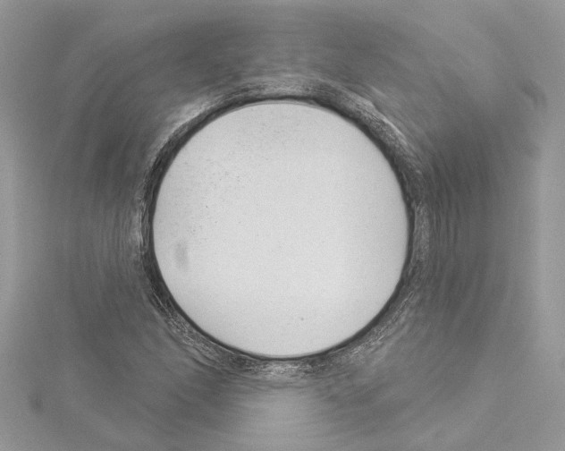 X0000114491166200911301100