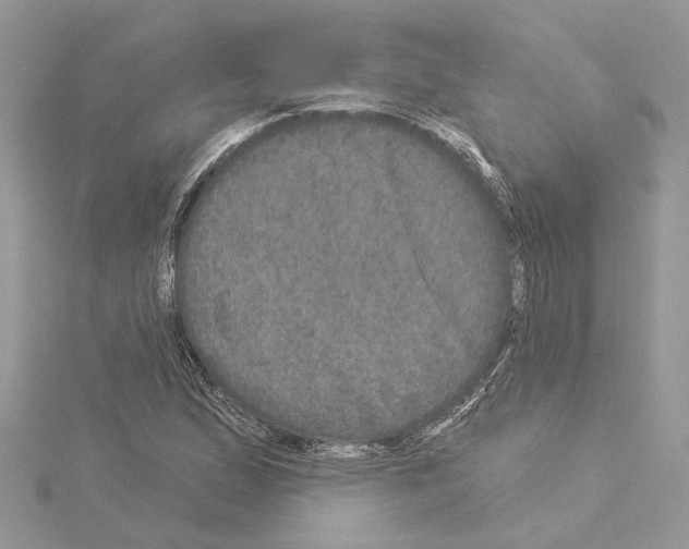 X0000114491167200911301100