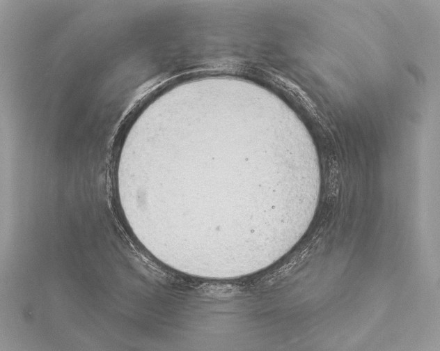 X0000114491168200911301100