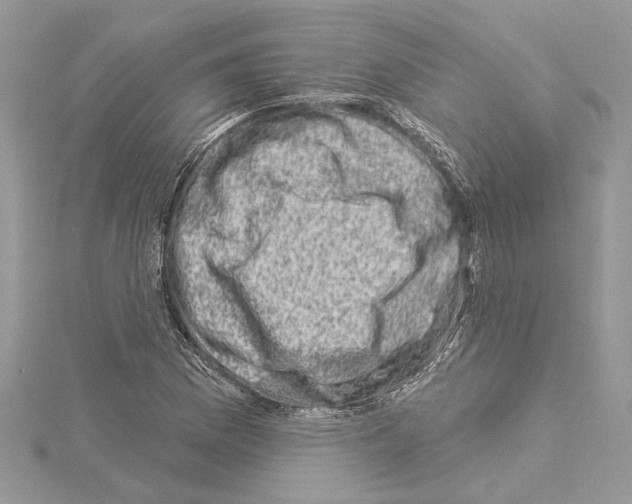 X0000114491169200911301100