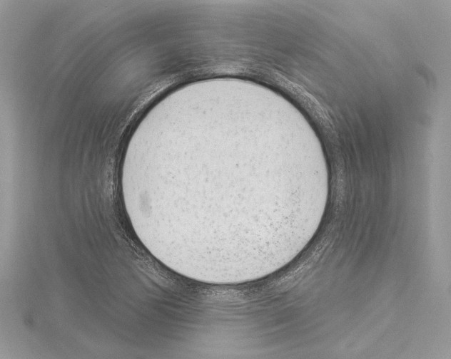 X0000114491170200911301100