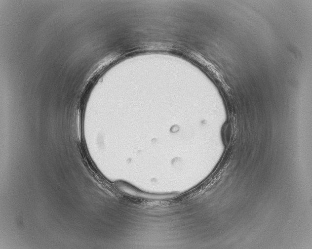 X0000114491171200911301100