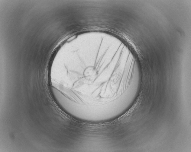 X0000114491173200911301100