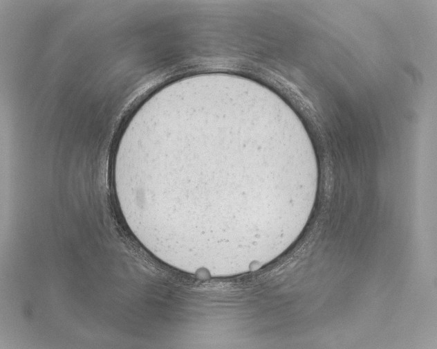 X0000114491174200911301100