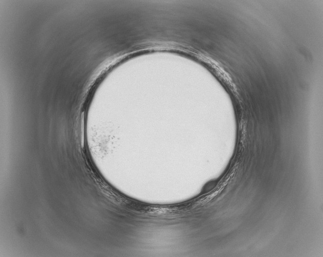 X0000114491175200911301100