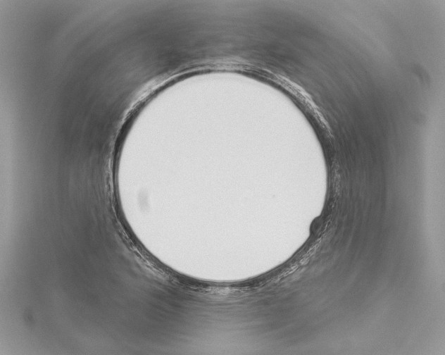 X0000114491176200911301100