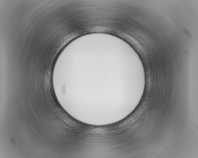 X0000114491178200911301100