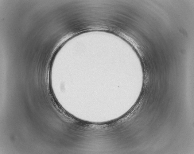 X0000114491179200911301100